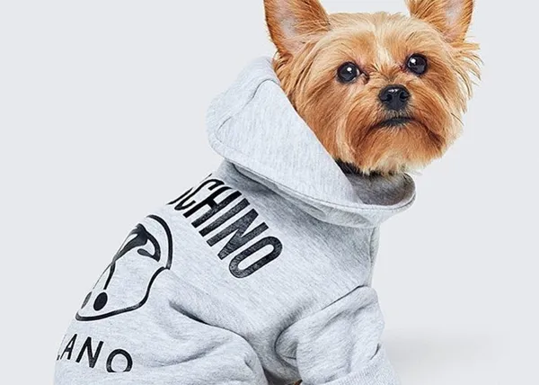 Breaking news para fashionistas con perro: Moschino ha diseñado una colección canina para H&M