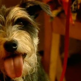 SrPerro.com en TVE, en Cámara Abierta 2.0 ¡de …