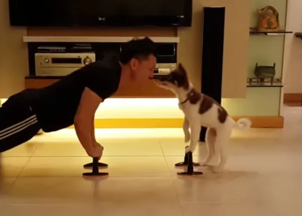 Una, dos, tres... ¡beso! O cómo ponerse en forma junto a un perro, más o menos :-)