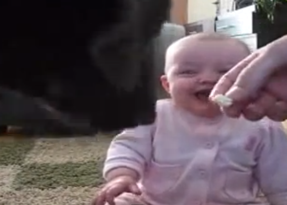 Chute de sonrisas: un bebé se parte de risa al ver a un can comer palomitas