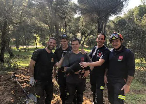 Tras varias horas de laborioso trabajo, Bomberos de Madrid rescatan a una Teckel atrapada en una madriguera