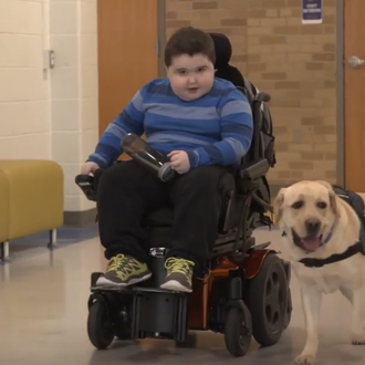 Gracias a los esfuerzos de sus compañeros de colegio, un …