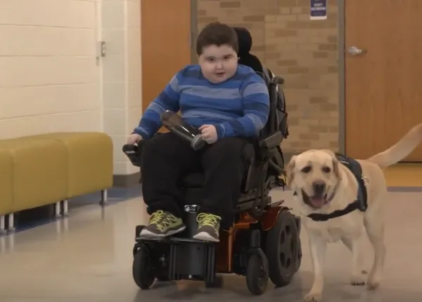 Gracias a los esfuerzos de sus compañeros de colegio, un niño enfermo consigue un perro de asistencia