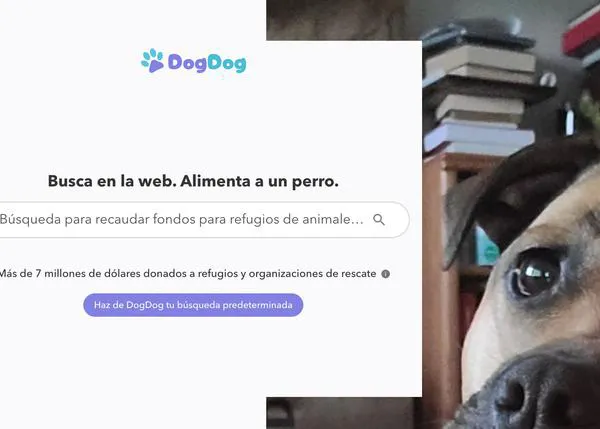 DogDog, el buscador que aprovecha cualquier búsqueda -y la publicidad que se genera- para ayudar a protectoras de animales