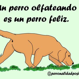 Sabias ilustraciones caninas para ayudarnos a entender mejor a nuestros …