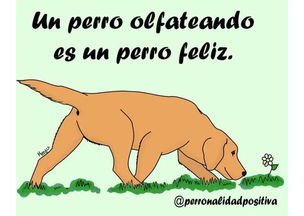 Sabias ilustraciones caninas para ayudarnos a entender mejor a nuestros perros: un proyecto necesario y solidario