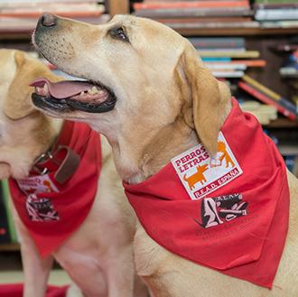 La lectura educativa con perros, 20 aniversario de un programa …