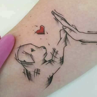 ¿Cuál es la raza de perro que más tatuajes ha …