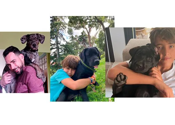 ¿Cómo se vive la experiencia de cuidar de un futuro perro guía o perro de asistencia?