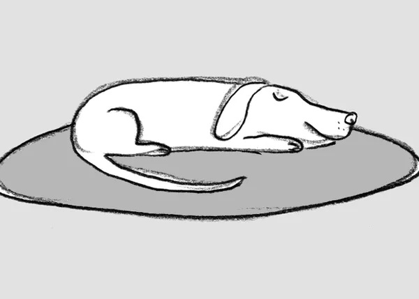 Cómo ser perro: 18 lecciones imprescindibles para ejercer el arte de la perrunidad feliz