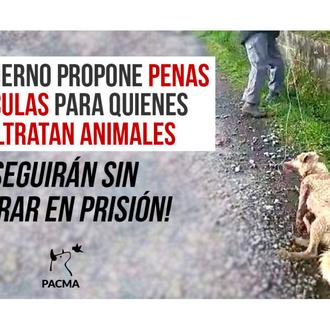Con el nuevo Código Penal los maltratadores de animales seguirán …