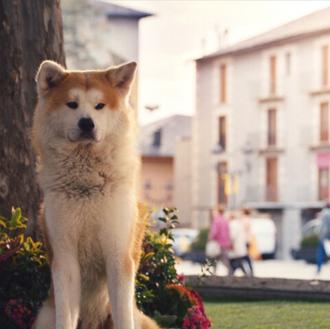 Hachiko revisitado y otros anuncios con perro que han triunfado …