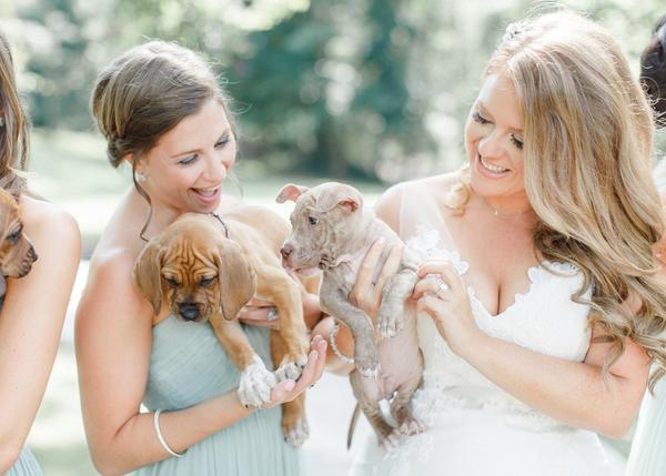 Una boda extra guau: con cachorrotes en adopción en vez de flores