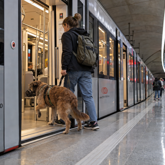 Metro Bilbao permite viajar con perros de cualquier tamaño fuera …