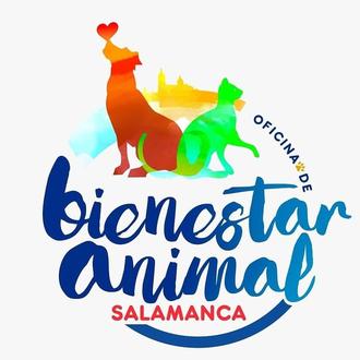La Oficina de Bienestar Animal ya está activa en Salamanca …