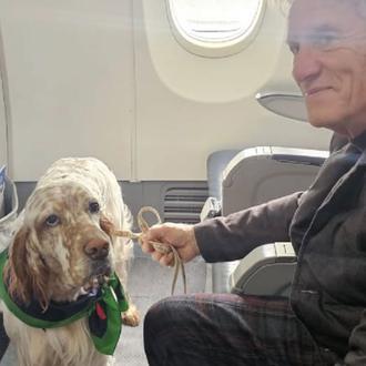 Italia vuelve a demostrar que los perros grandes pueden volar …