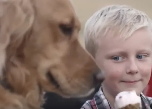 Un niño y su perro: anuncios que deberían ser historias reales
