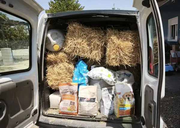 Imágenes de la solidaridad para ayudar a protectoras y animales afectados por los incendios de Ávila, Madrid, Toledo...