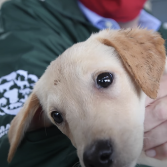 Así se monta un refugio temporal para más de 100 …