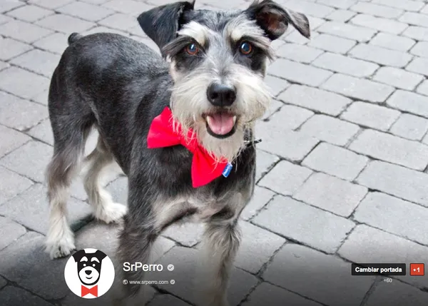 SrPerro asoma sus cejas y su trufa también en Google +