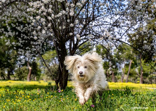 Bites, Mites, Parasites: Recognition & Minimization - News Directory 3