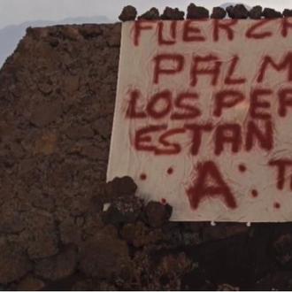 Ni rastro de los podencos de La Palma: un extraño …