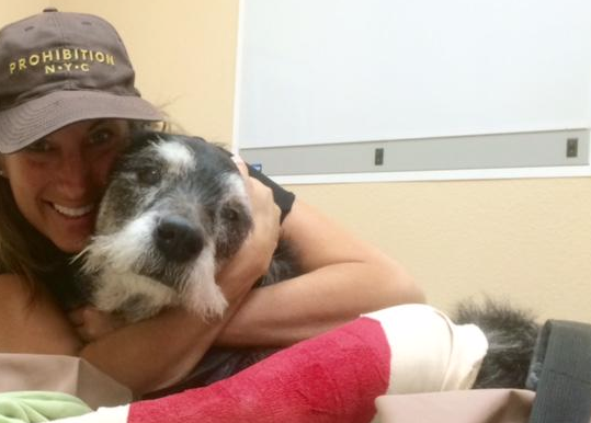 Un can viejito y con cáncer recibe un regalo inesperado: un carrito customizado