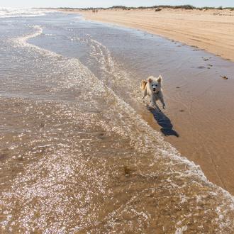 Cientos de personas se movilizan para que en Sanlúcar de …