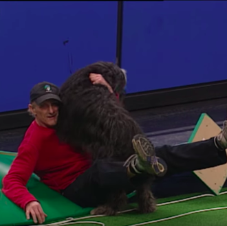 Recorridos de Agility que se llevan el gran premio al …