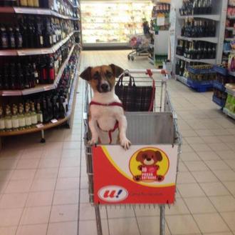 ¿Te imaginas hacer la compra, en el super, con tu …