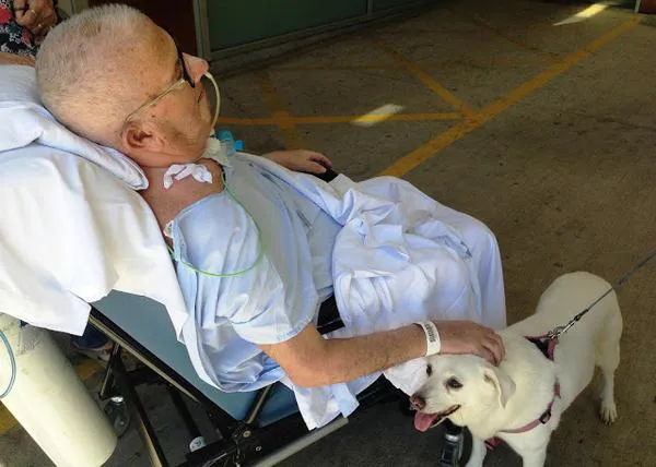 Un paciente en la UCI recupera la sonrisa al encontrarse con su perra a las puertas del hospital