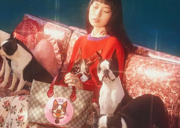 Los Boston Terrier saltan a la pasarela de la mano de Gucci: una colección entera dedicada a los perros (fashion)