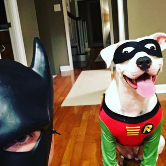 Superhéroes perrunos contra el 