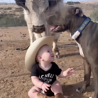 El ternero que creía ser un perro en una genial …