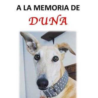 Concentración de recuerdo y homenaje a la Galga Duna el …