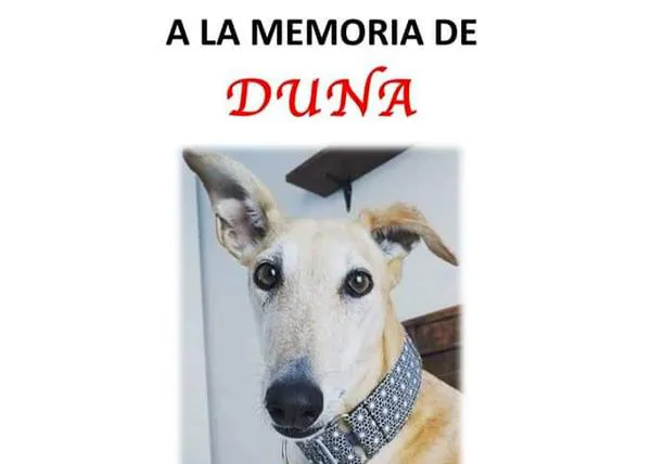 Concentración de recuerdo y homenaje a la Galga Duna el domingo #DunaEstamoscontigo