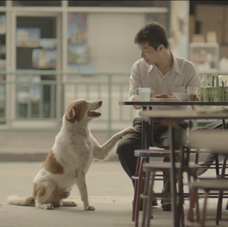 El héroe cotidiano: un vídeo sobre la vida (y un …