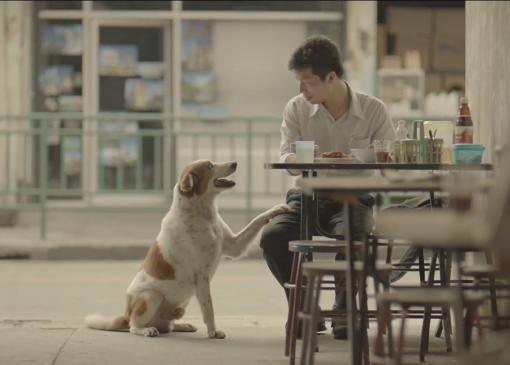 El héroe cotidiano: un vídeo sobre la vida (y un perro)