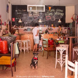 ¿Se puede entrar en un bar con perro en Santiago …