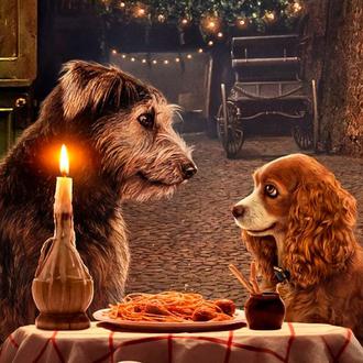 Más películas recomendables para humanos perrunos (y una charla sobre …