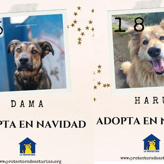 Destinan 1 millón de euros para mejorar las instalaciones del …