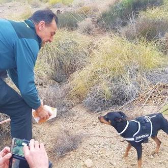 La Guardia Civil rescata a un Pinscher y a cuatro …