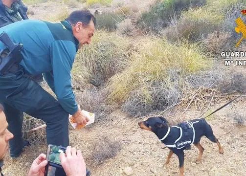 La Guardia Civil rescata a un Pinscher y a cuatro jabalíes de un pozo abandonado en Almería