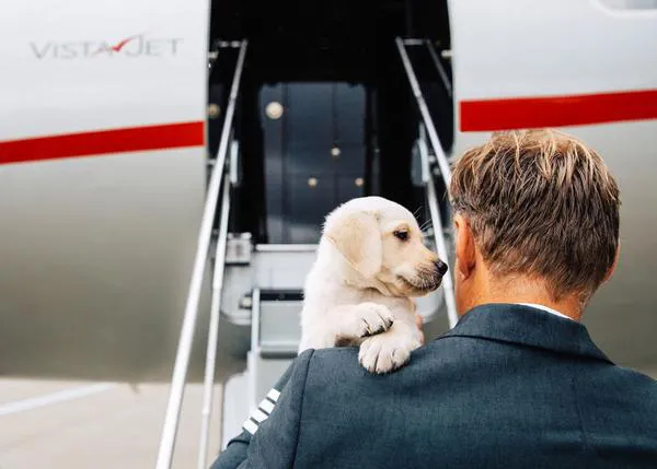 Volar con perro en versión muchimillonario: canes de todos los tamaños en cabina, comida especial, agua calmante...