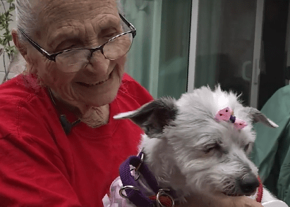 Una residencia de ancianos especial: ahora es también casa de acogida para perros viejitos