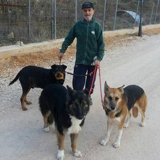 Santiago, el anciano con cáncer, sigue buscando un hogar para …