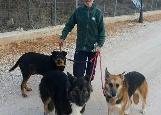Santiago, el anciano con cáncer, sigue buscando un hogar para dos de sus perras