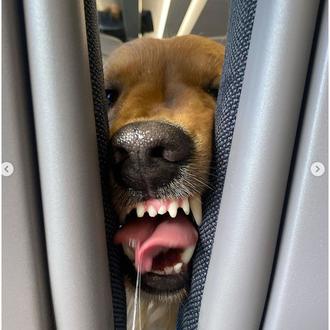 Cosas que pasan cuando tu vecino de asiento en el …