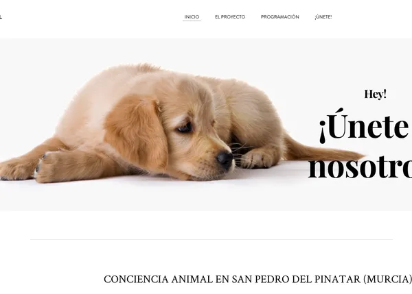 Concienciación animal desde el colegio: gran iniciativa en San Pedro del Pinatar