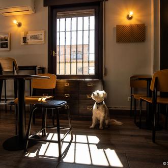 30 cafés dog friendly donde estar especialmente a gusto: de …